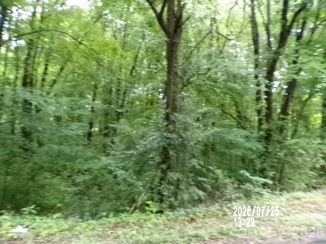 0 Larch Road, Unit 28 Salisbury, NC 28147 - Photo 14 of 17 Gallery Image 14