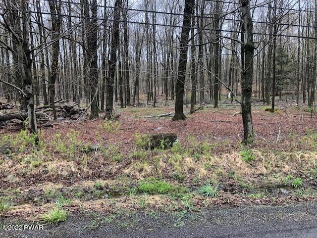 Hilltop Road Newfoundland, PA 18445 - Photo 4 of 6
