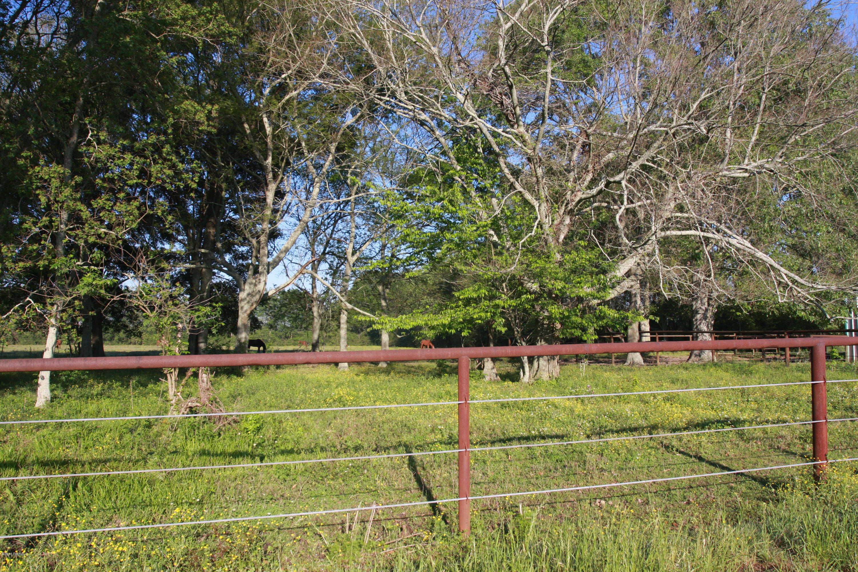 413 Chretien Point Road Sunset, LA 70584 - Photo 8 of 49 IMG_0002