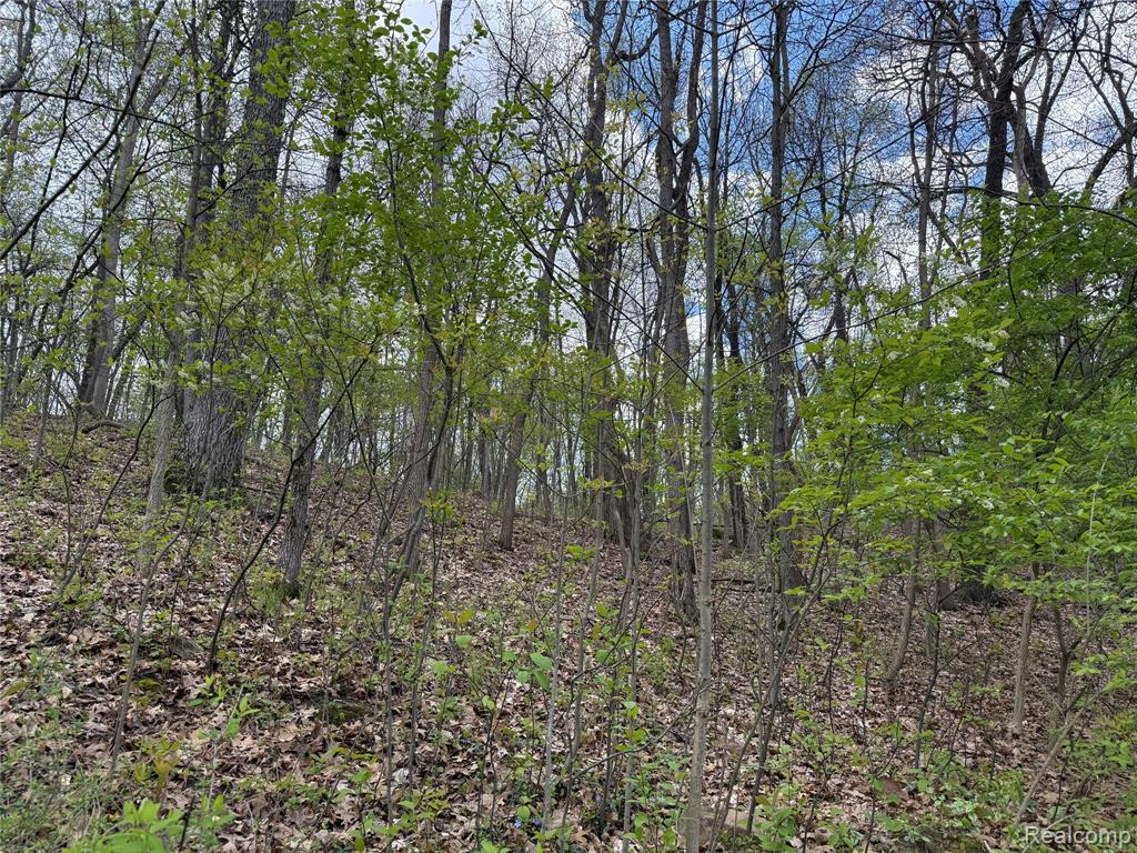 Lot 25 Hidden Ridge Trail Bloomfield Hills, MI 48304 - Photo 3 of 7