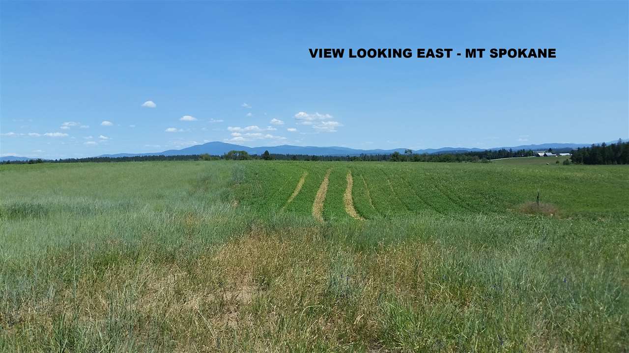 Xx West Staley Road, Unit PARCEL #9 Deer Park, WA 99006 - Photo 1 of 4