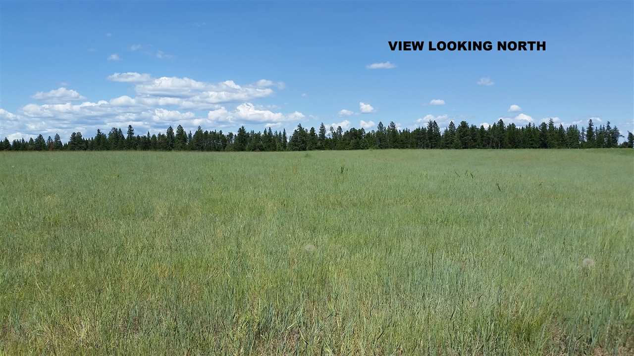 Xx West Staley Road, Unit PARCEL #9 Deer Park, WA 99006 - Photo 3 of 4