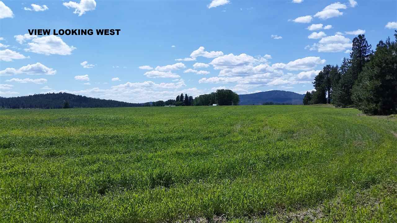 Xx West Staley Road, Unit PARCEL #9 Deer Park, WA 99006 - Photo 4 of 4
