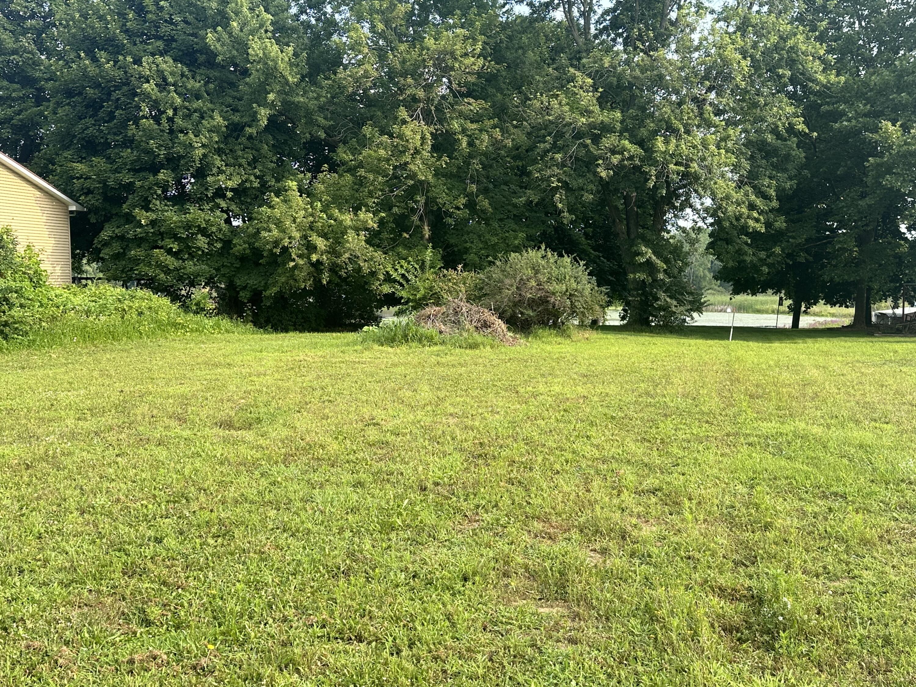 0 East Berry Road Pleasant Lake, MI 49272 - Photo 3 of 6 image_50450177