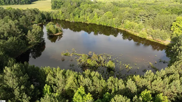 $250,000 | 38 Crowder Road, Kinards, SC 29355