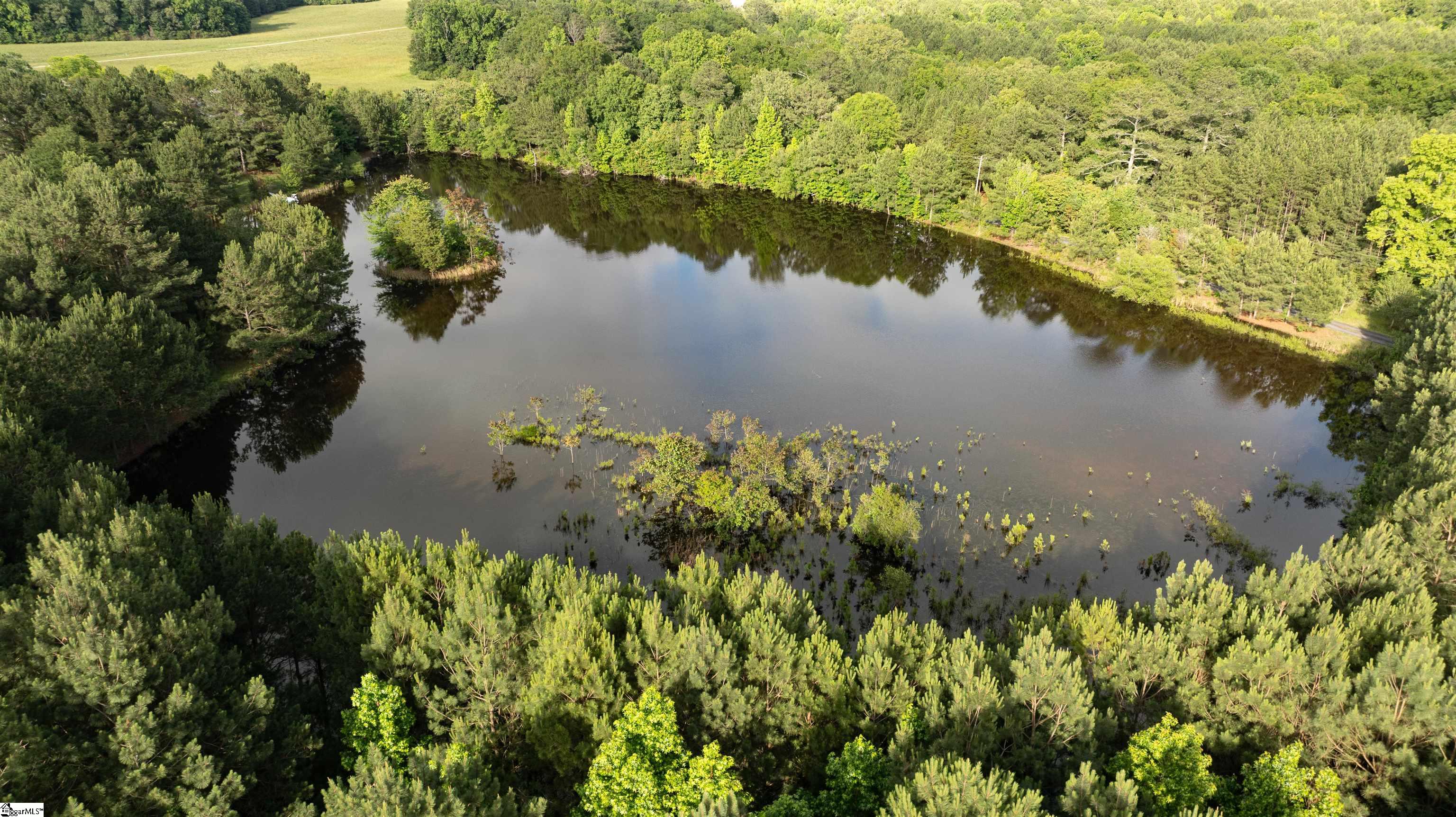 38 Crowder Road Kinards, SC 29355 - Photo 3 of 10