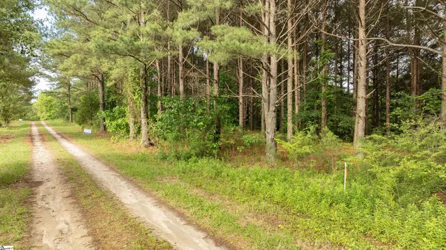 $250,000 | 38 Crowder Road, Kinards, SC 29355