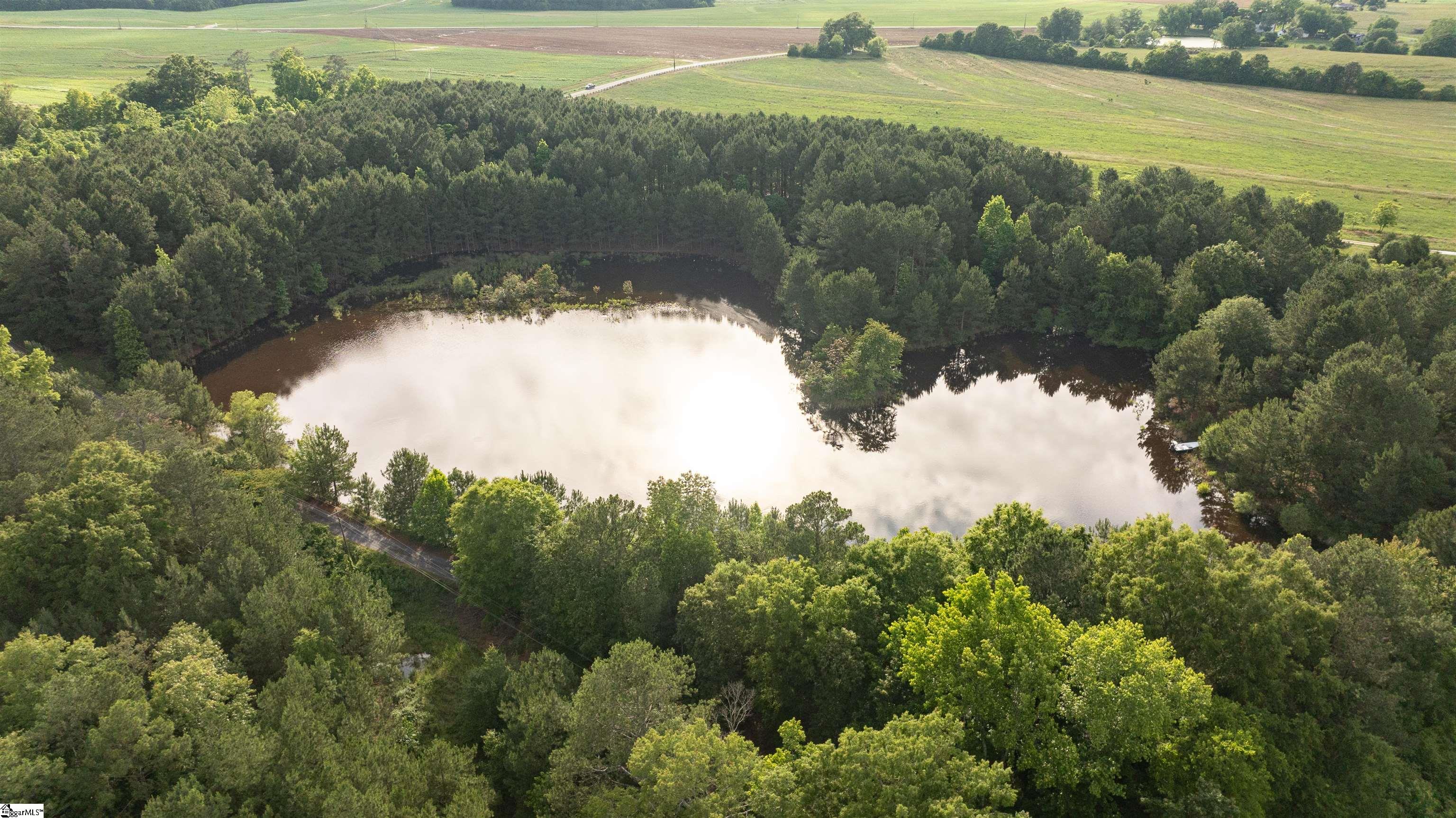 38 Crowder Road Kinards, SC 29355 - Photo 7 of 10