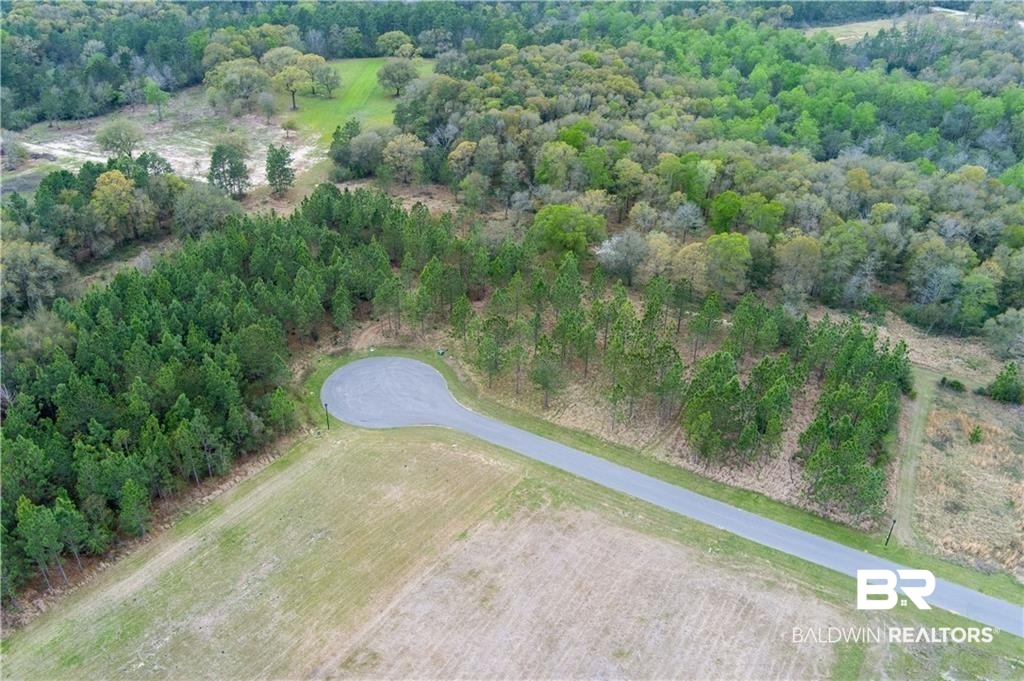 47 Hampton Ridge Mobile, AL 36608 - Photo 4 of 9 Aerial view of property's location featuring a forest