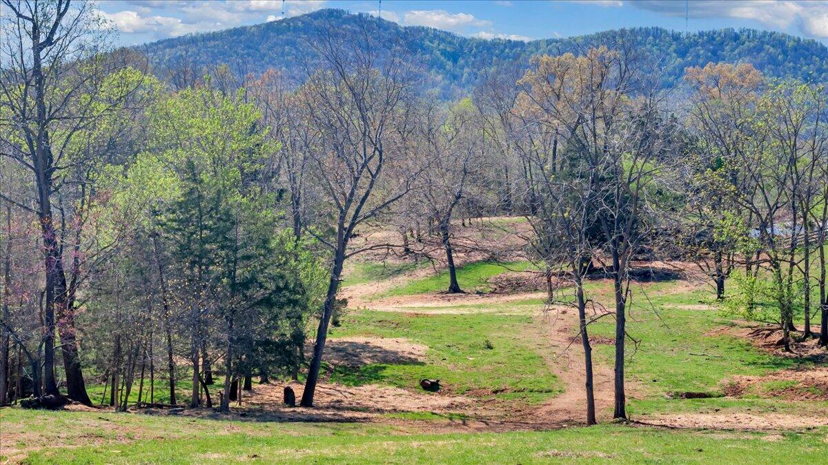 3861 Wheatland Road Bedford, VA 24523 - Photo 71 of 99 a view of a park with large trees