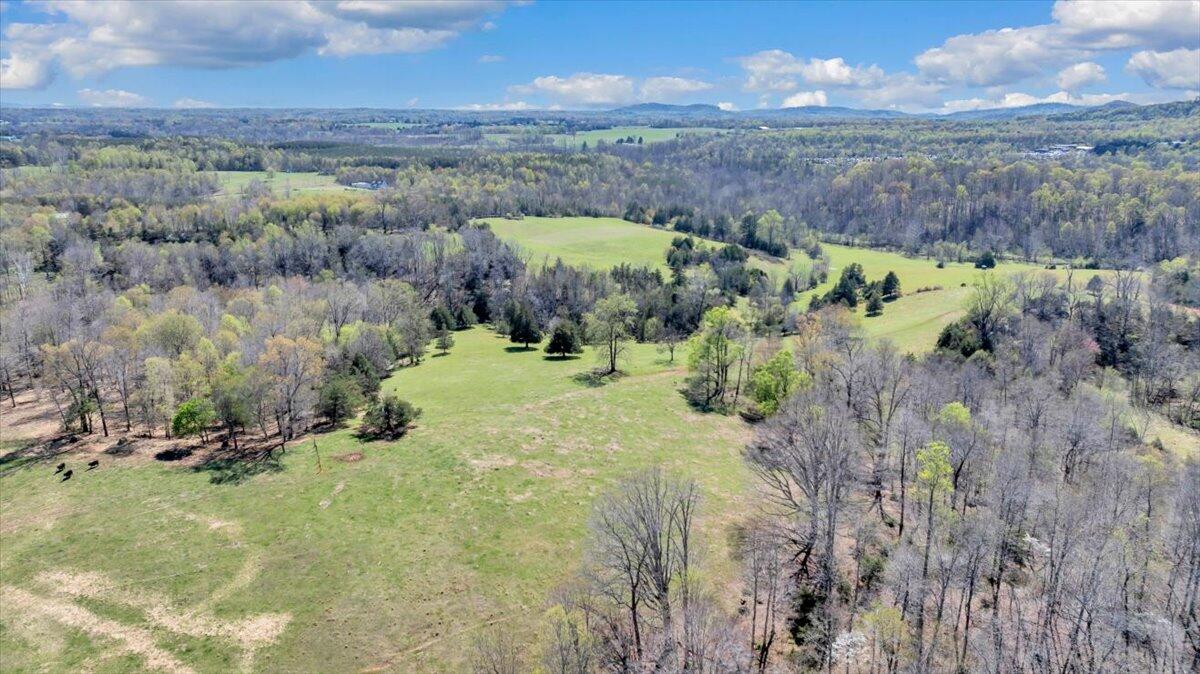 3861 Wheatland Road Bedford, VA 24523 - Photo 74 of 99 073-DJI_20260407140617_0361_D