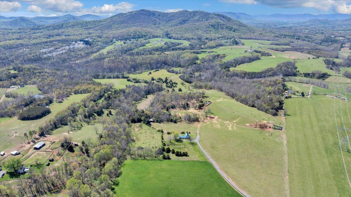 3861 Wheatland Road Bedford, VA 24523 - Photo 88 of 99 a view of a garden with a mountain