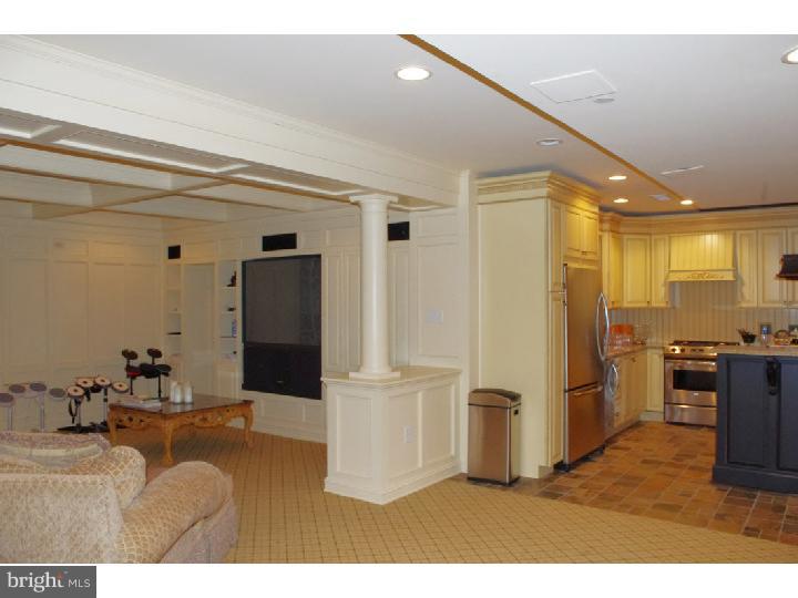 165 Matsonford Road Wayne, PA 19087 - Photo 25 of 25 Basement - Finished