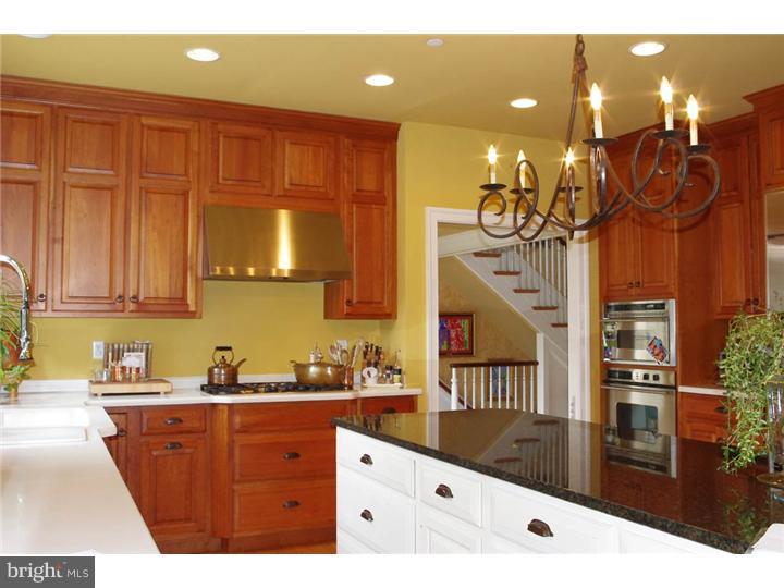 165 Matsonford Road Wayne, PA 19087 - Photo 9 of 25 Kitchen