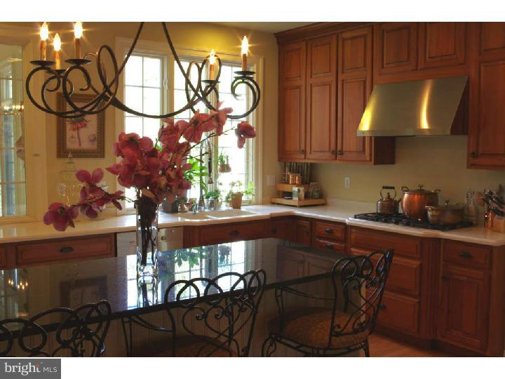 165 Matsonford Road Wayne, PA 19087 - Photo 10 of 25 Kitchen