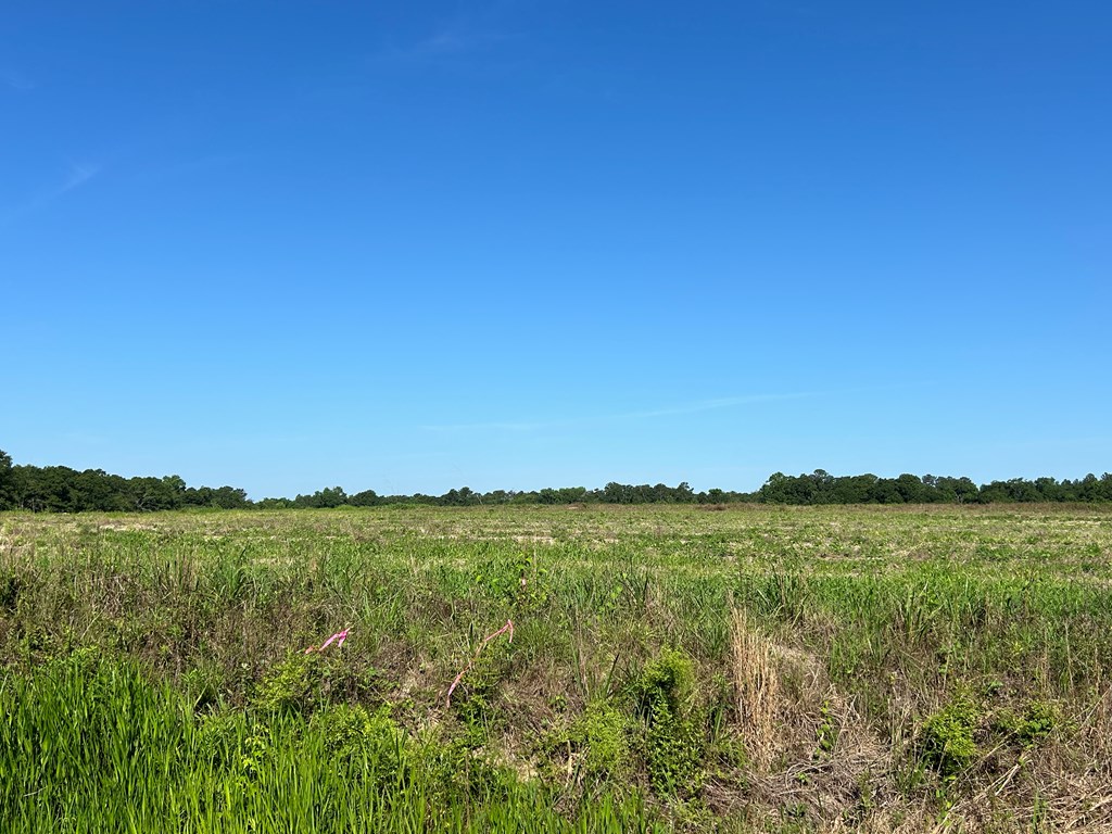 40.522-ac Cecil Varnum Road Dothan, AL 36301 - Photo 27 of 38