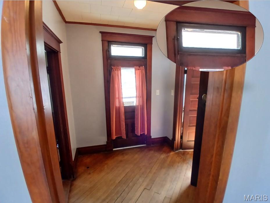 519 North Maple Street Staunton, IL 62088 - Photo 3 of 34