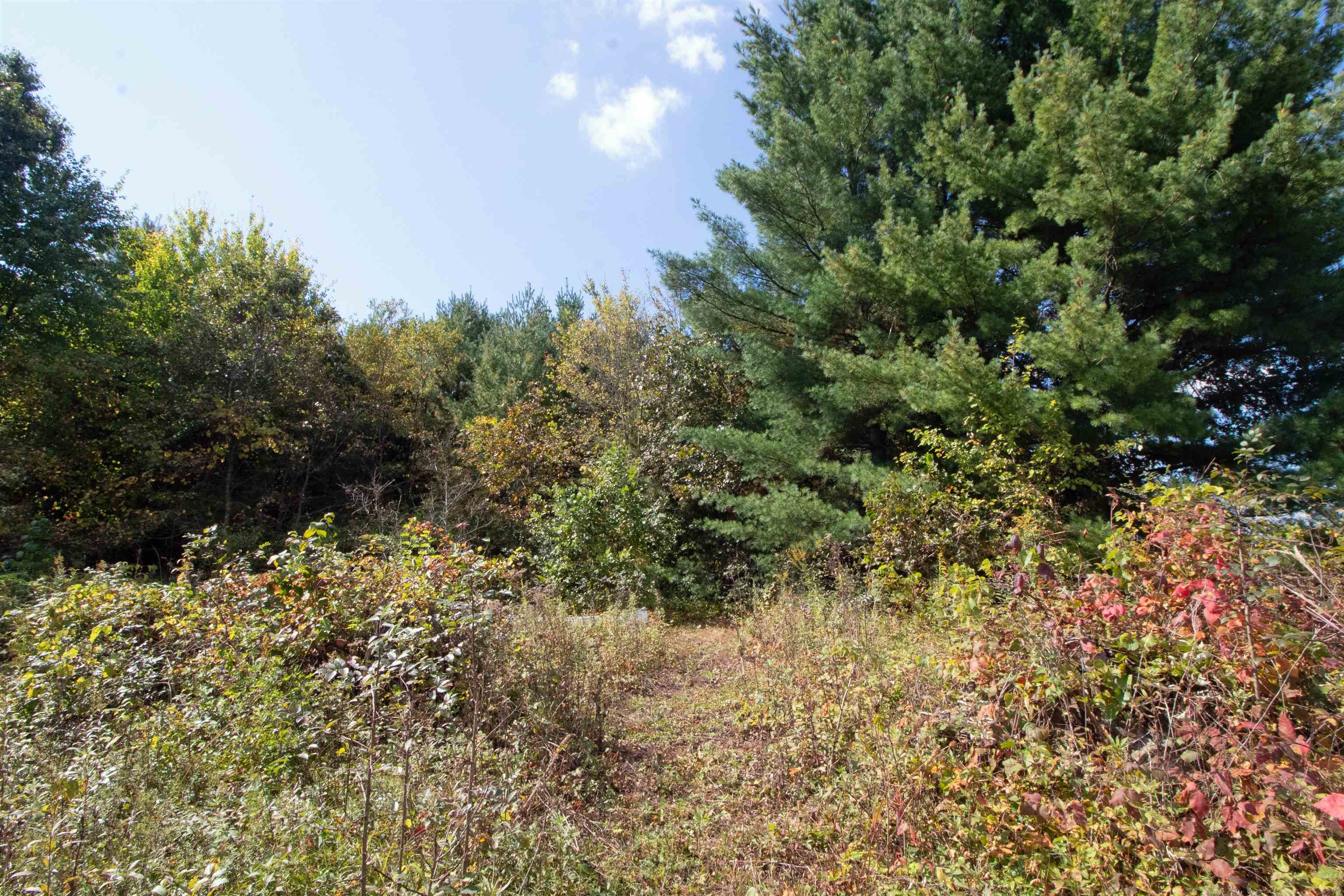Lot 1 White Pine Spring Green Spring Green, WI 53588 - Photo 18 of 25 Gallery Image 18