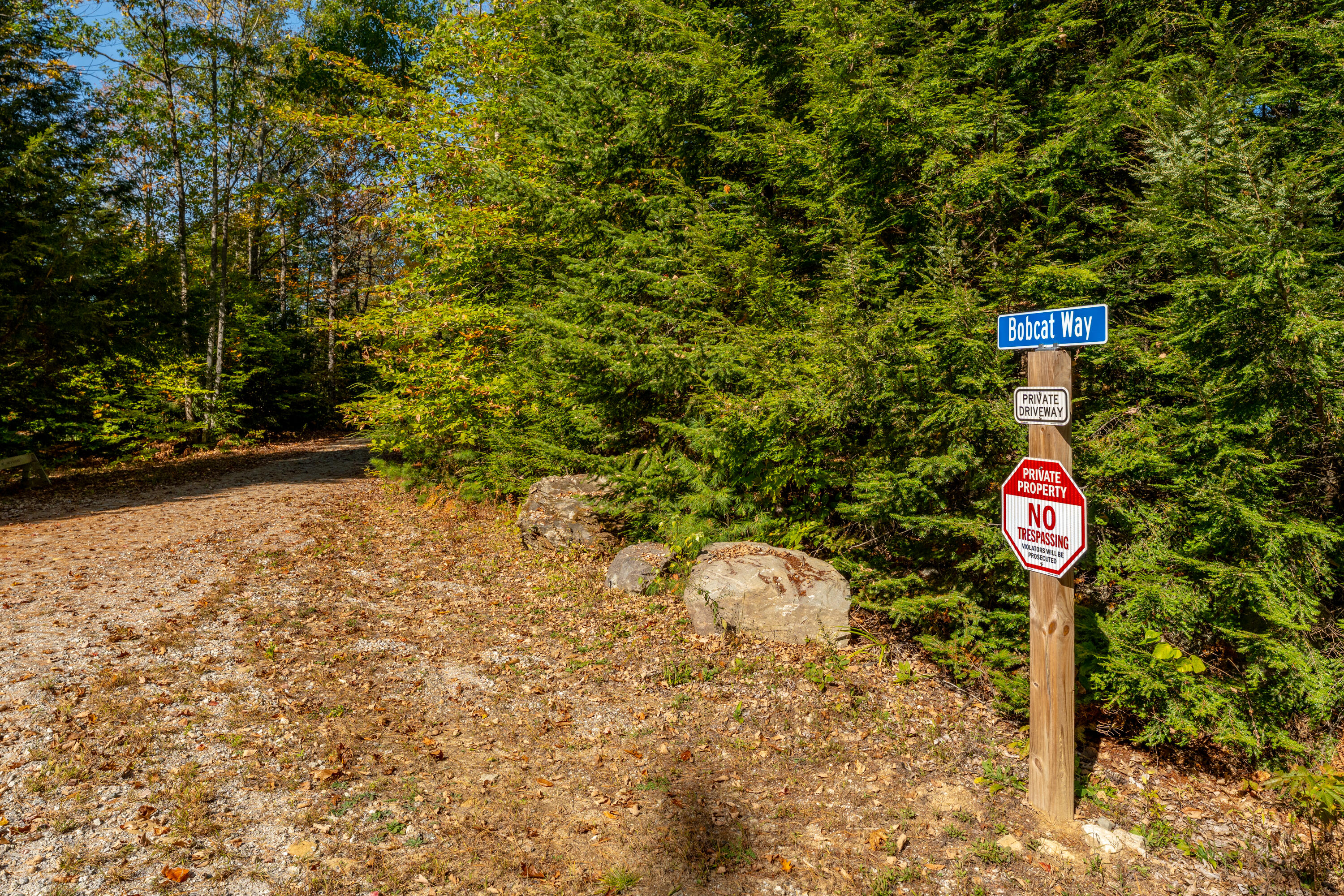 59 Bobcat Way Norway, ME 04268 - Photo 46 of 50 94_59 Bobcat Way_Morneau_Studios_Print