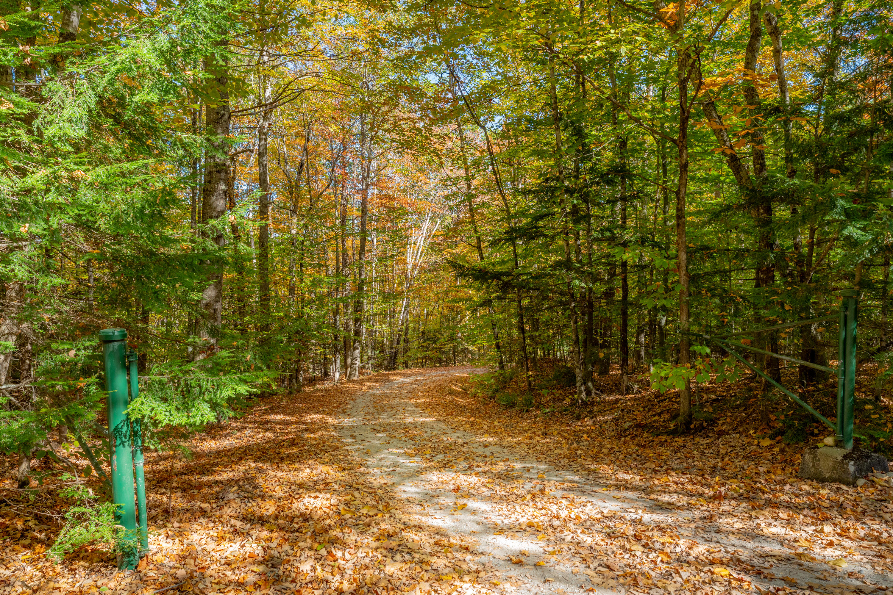 59 Bobcat Way Norway, ME 04268 - Photo 48 of 50 99_59 Bobcat Way_Morneau_Studios_Print