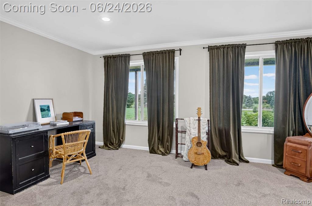 3781 Herd Road Metamora, MI 48455 - Photo 13 of 46