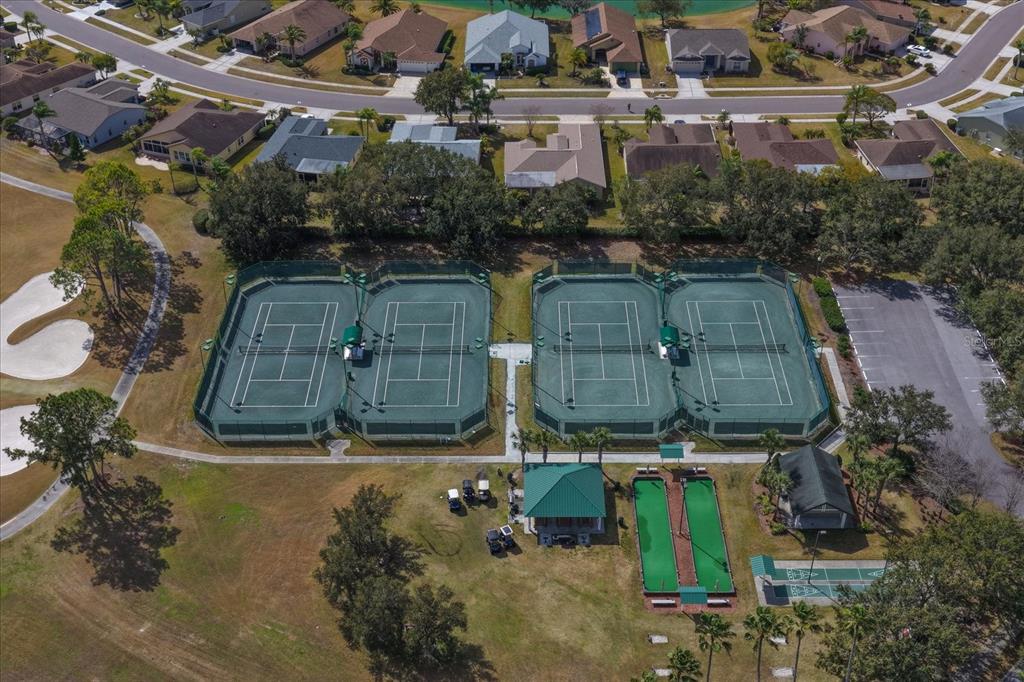 1237 Rambling Vine Court Trinity, FL 34655 - Photo 75 of 76