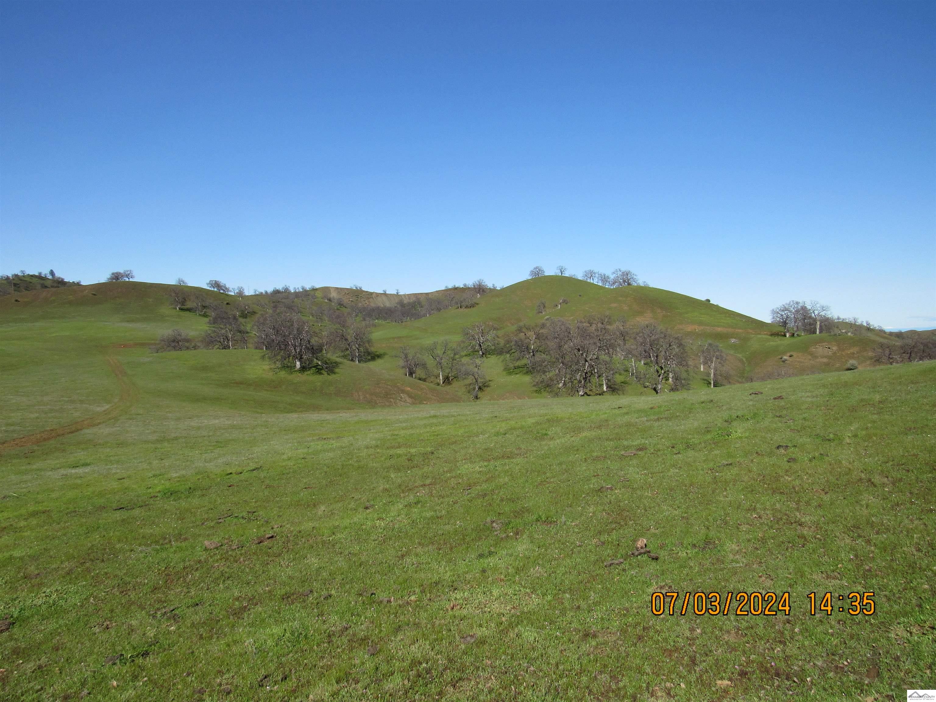 12755 Mccarty Creek Road Red Bluff, CA 96074 - Photo 6 of 28