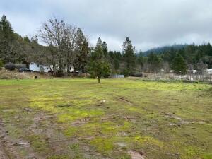 185 Browntown Road Cave Junction, OR 97523 - Photo 1 of 1 Lower Garden Area