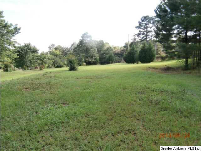 5035 Warrior Jasper Road Dora, AL 35062 - Photo 22 of 23