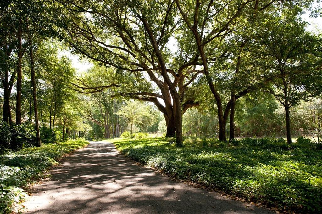 13134 Southwest 9th Road Newberry, FL 32669 - Photo 57 of 64 Gallery Image 57