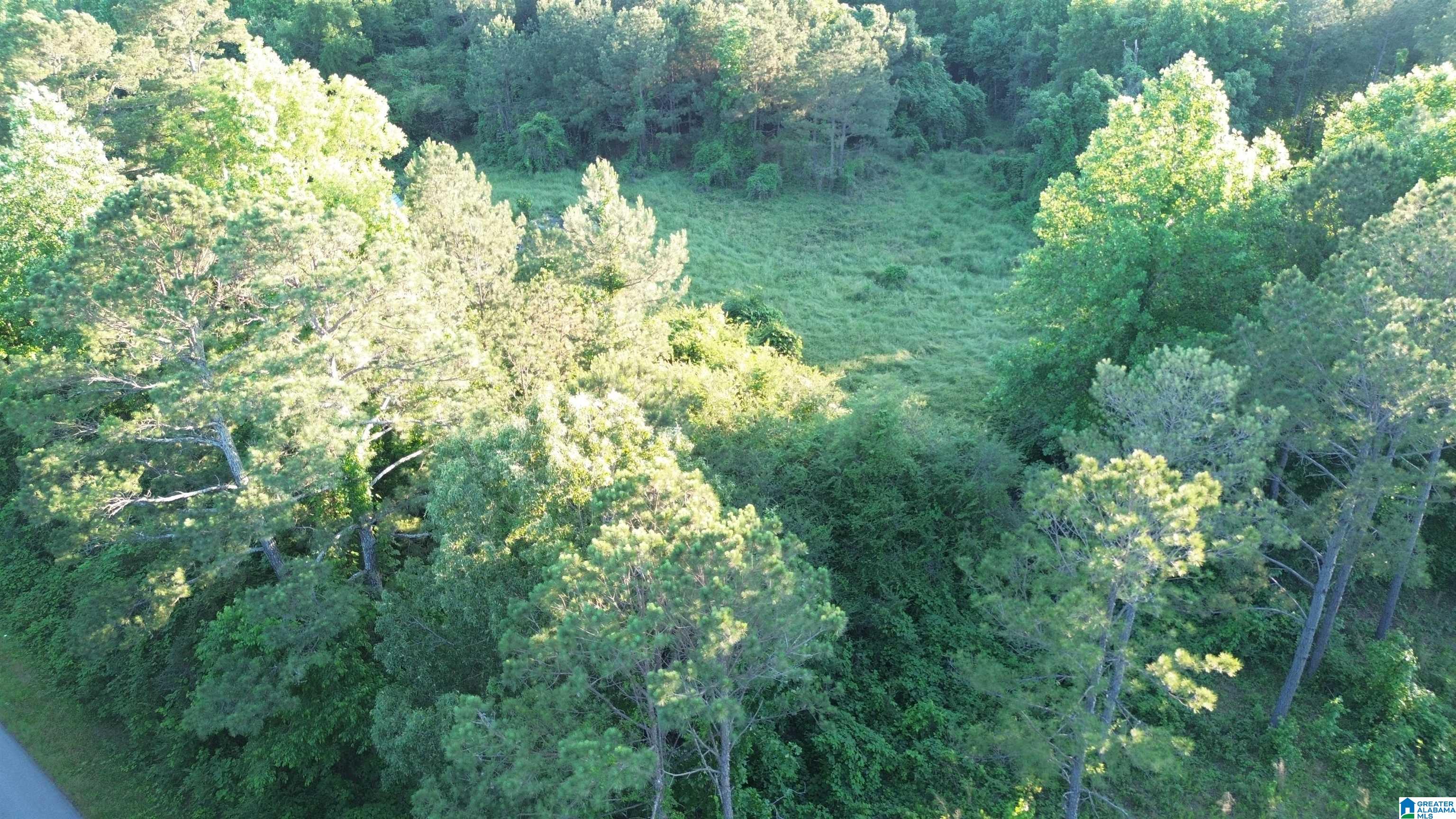 0 Bluff Springs Road Ashland, AL 36251 - Photo 8 of 8