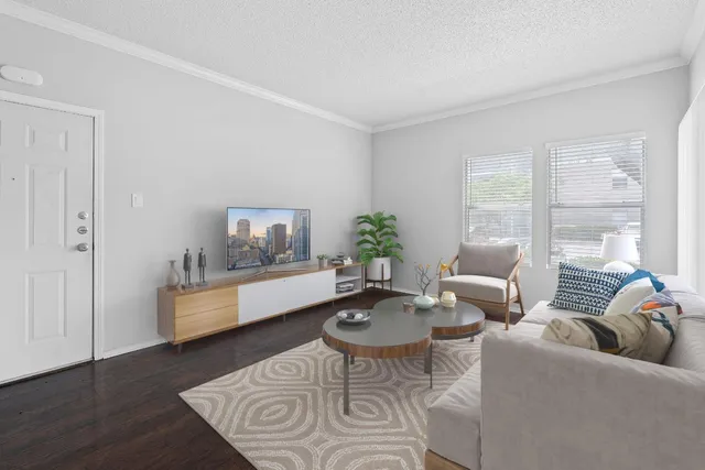 a living room with furniture and a potted plant