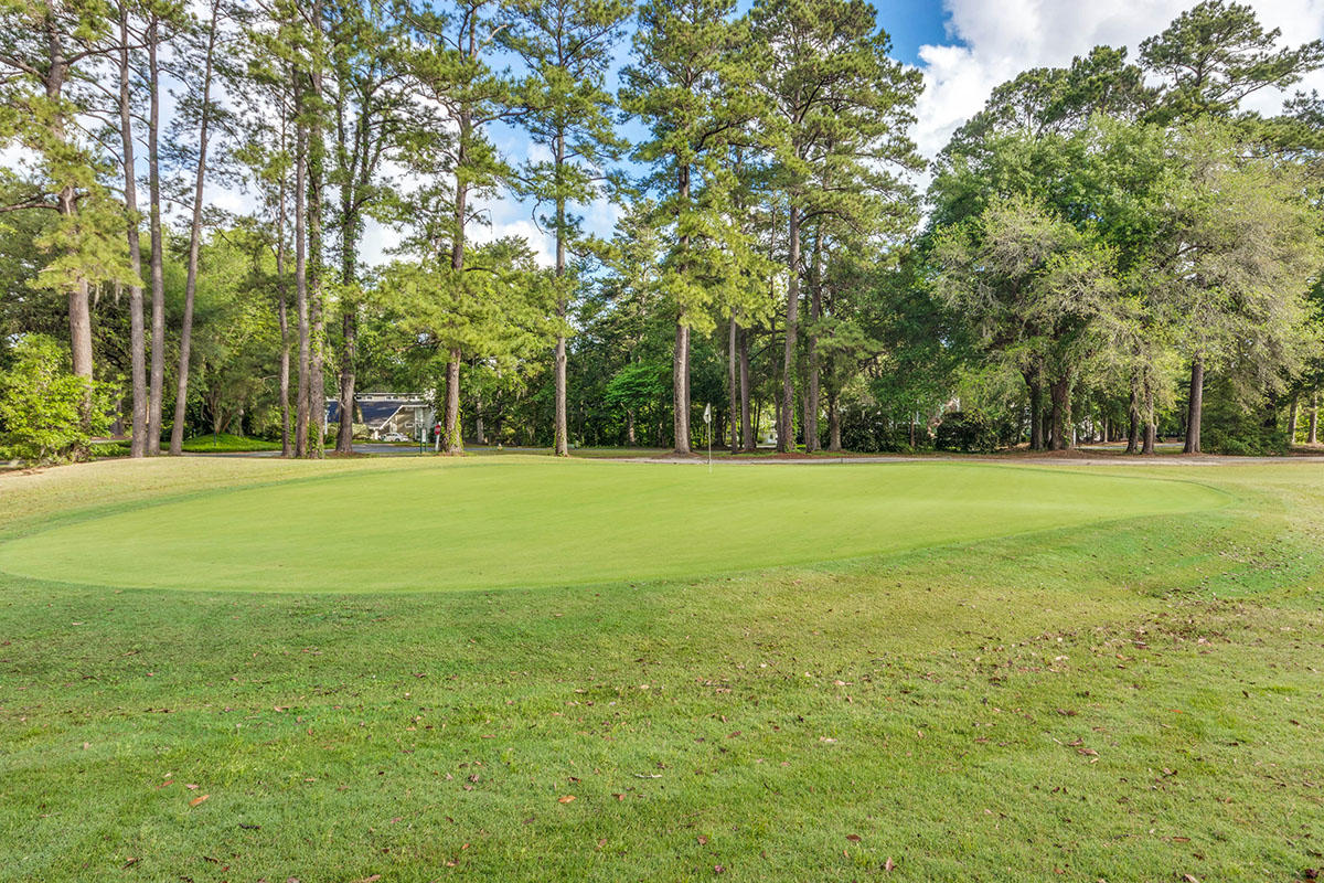 1008 Crooked Oak Road Summerville, SC 29485 - Photo 45 of 50 GPS VISUALS RE PHOTOGRAPHY 41