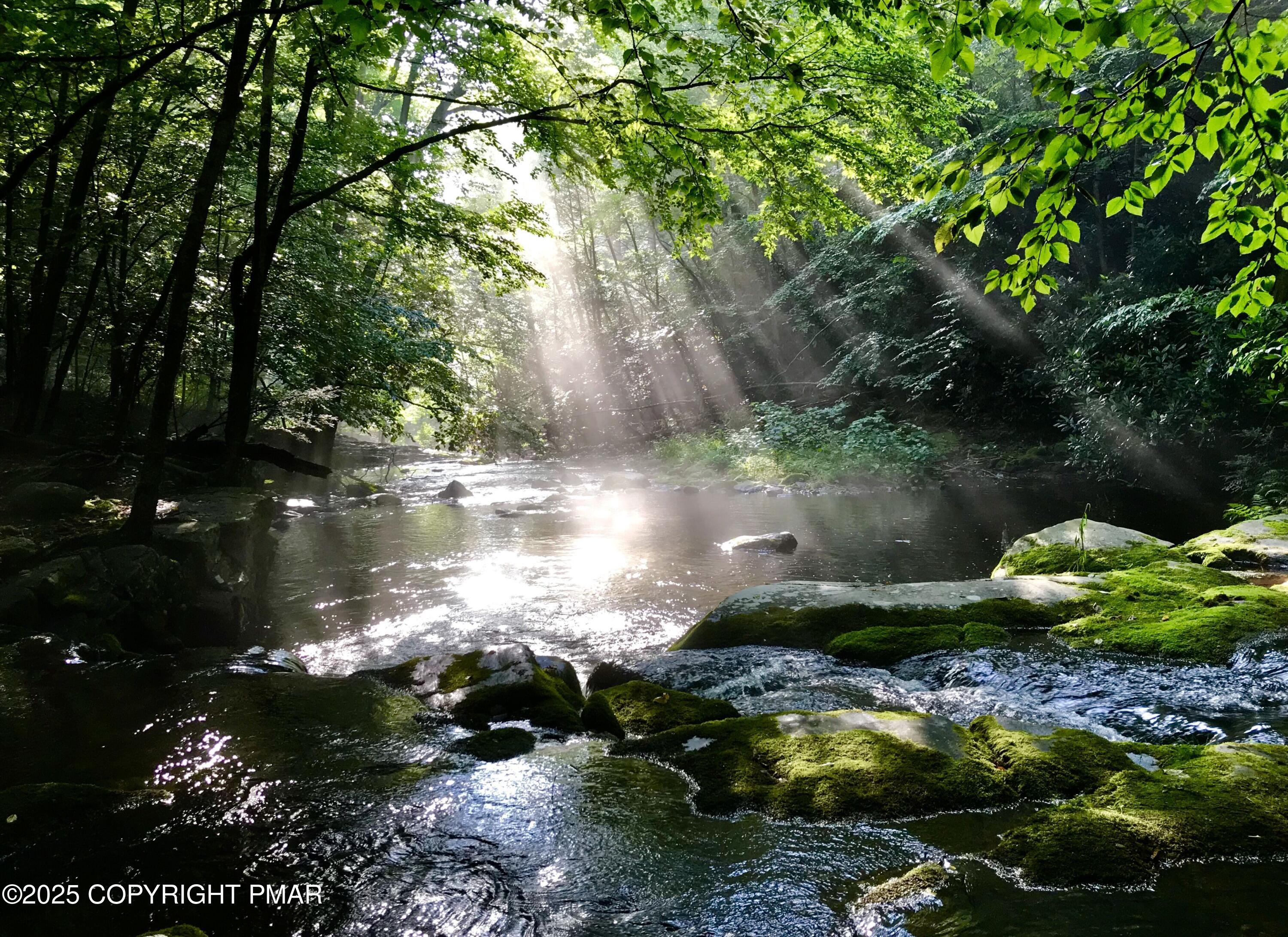 2161 Oak Hill Drive Canadensis, PA 18325 - Photo 63 of 64 Stream with sun streaming