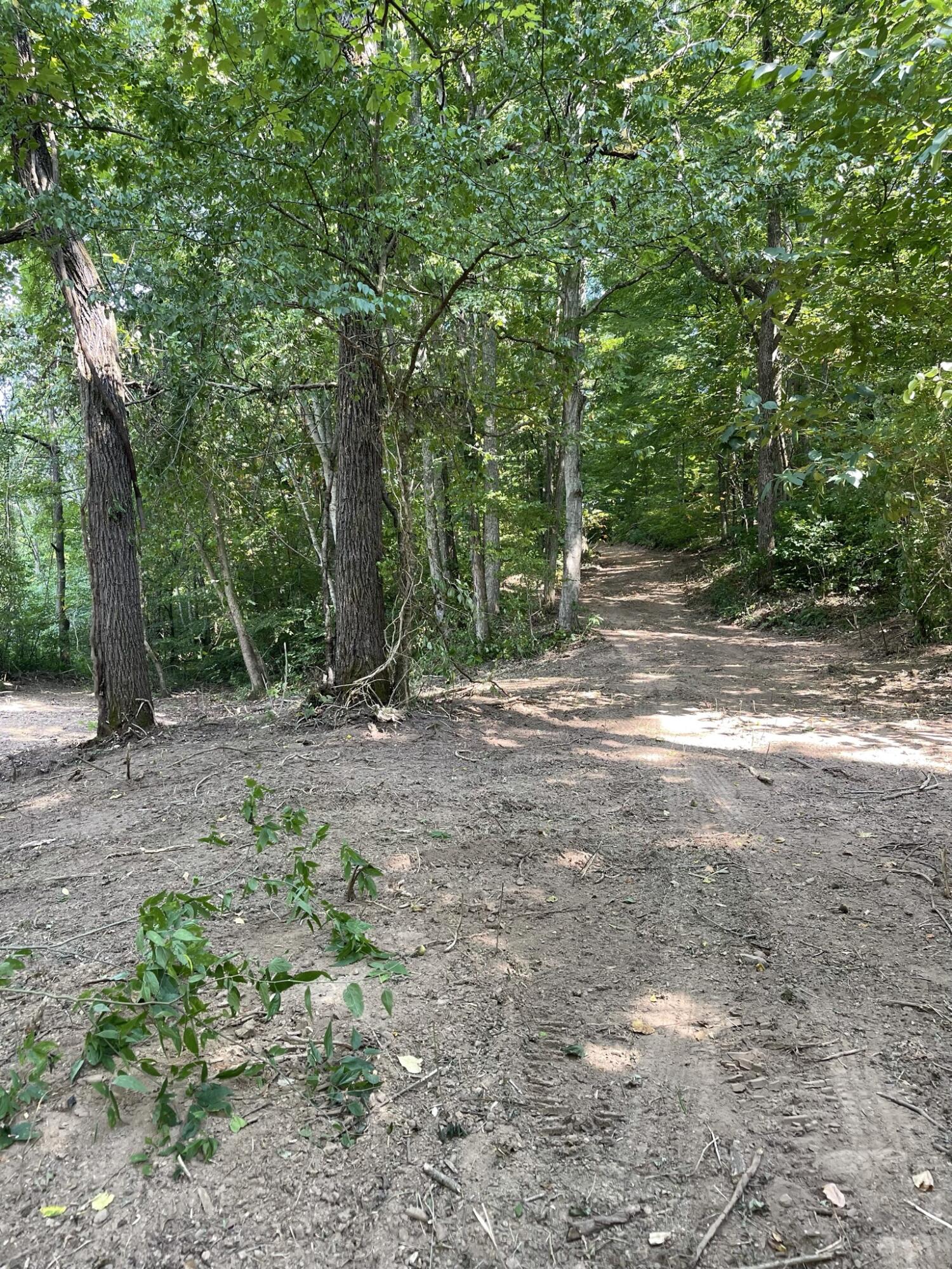 Idumea Road Corryton, TN 37721 - Photo 15 of 21 IMG_4619
