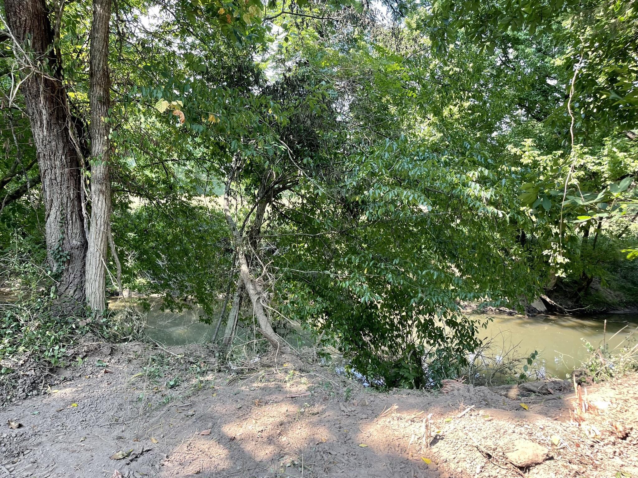 Idumea Road Corryton, TN 37721 - Photo 20 of 21 IMG_4624