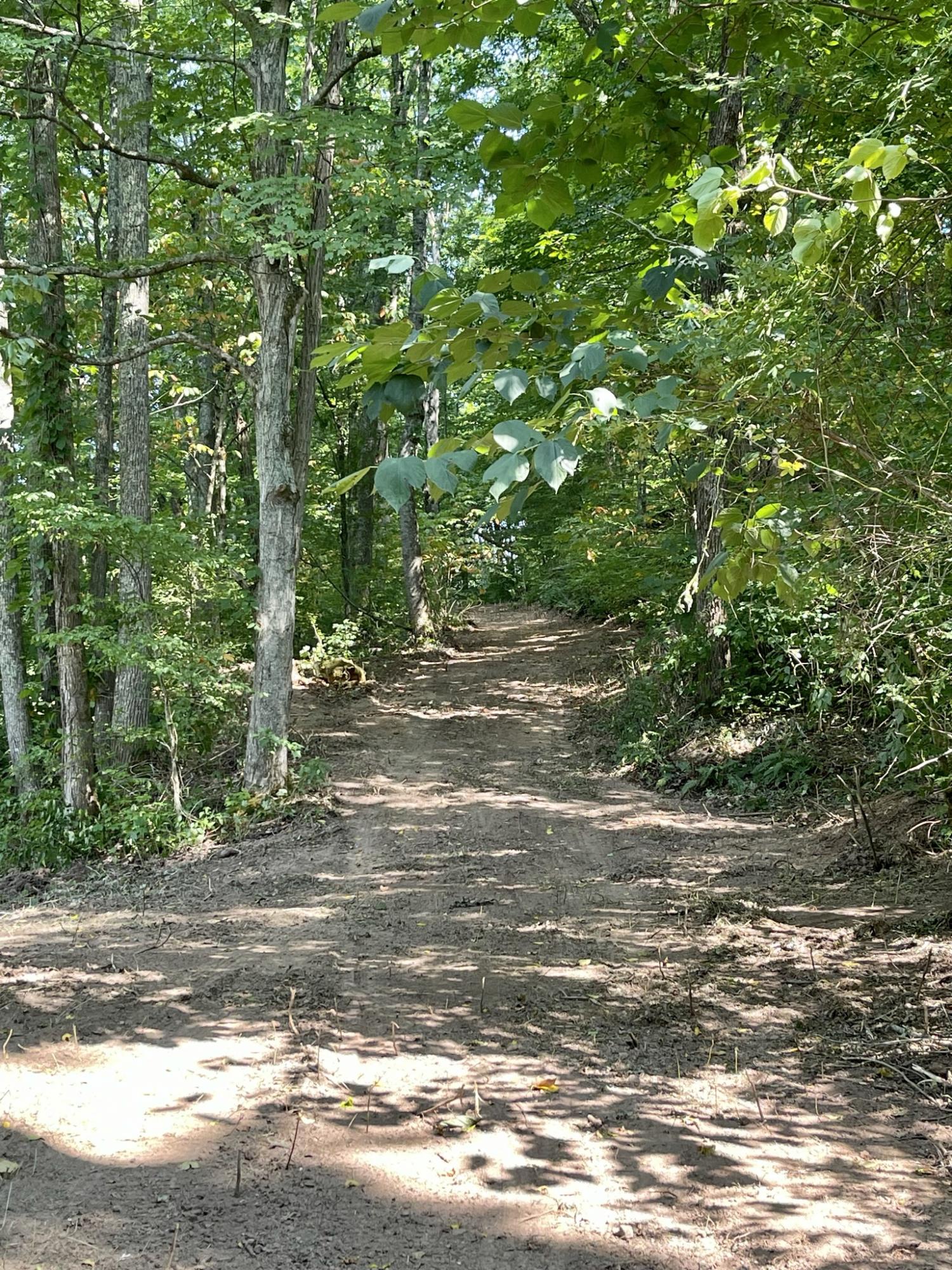 Idumea Road Corryton, TN 37721 - Photo 3 of 21 IMG_4632