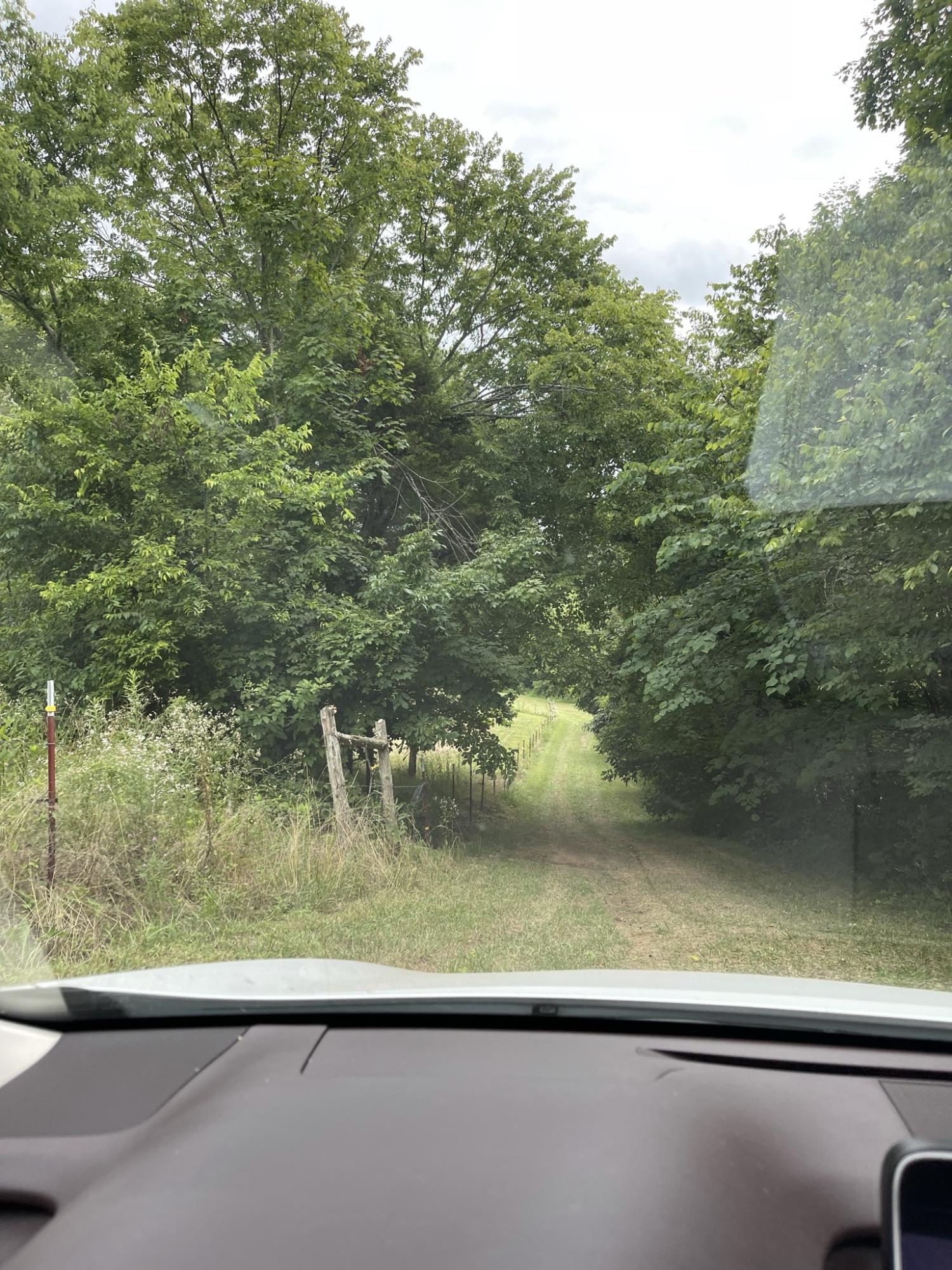 Idumea Road Corryton, TN 37721 - Photo 7 of 21 IMG_4247