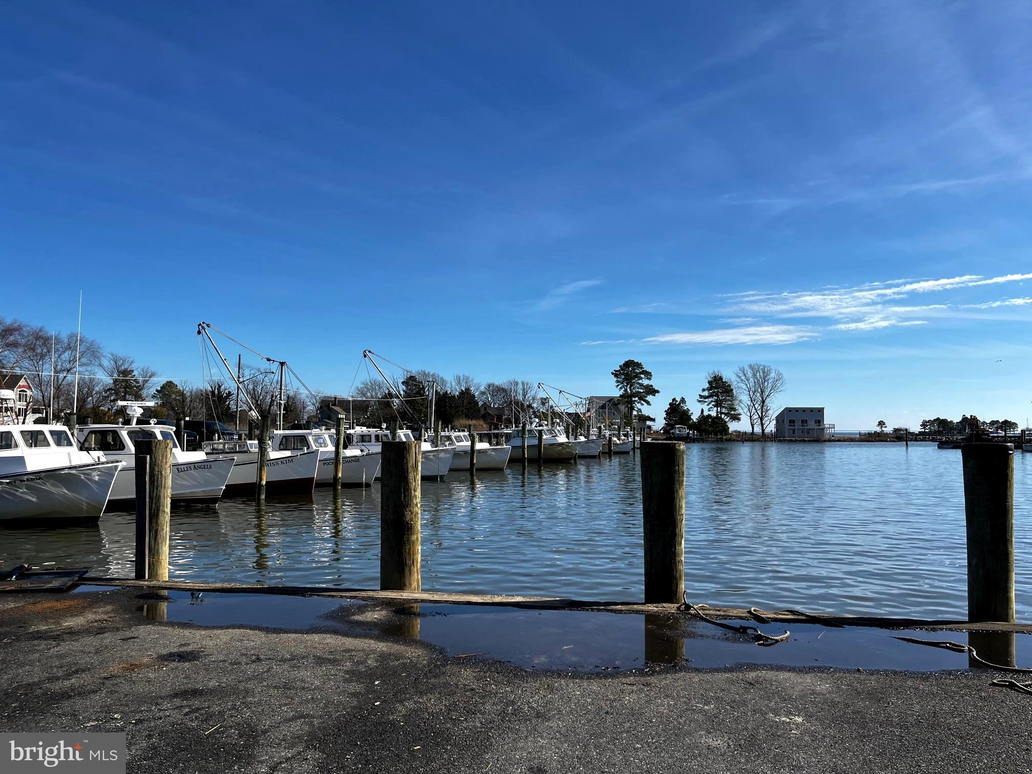21567 Chicken Point Road Tilghman, MD 21671 - Photo 47 of 49 Dogwood Harbor