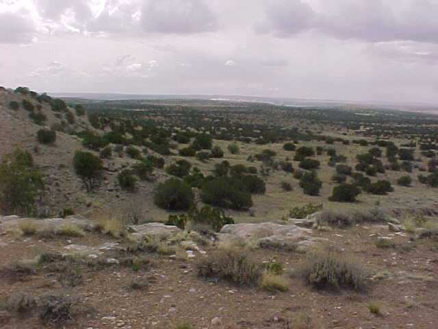 129 River Springs Ranch St. Johns, AZ 85936 - Photo 3 of 5