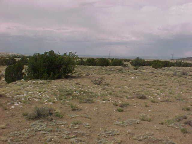 129 River Springs Ranch St. Johns, AZ 85936 - Photo 4 of 5
