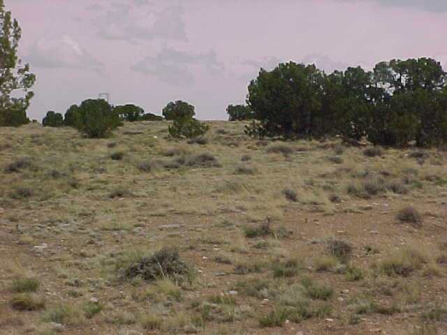 129 River Springs Ranch St. Johns, AZ 85936 - Photo 5 of 5