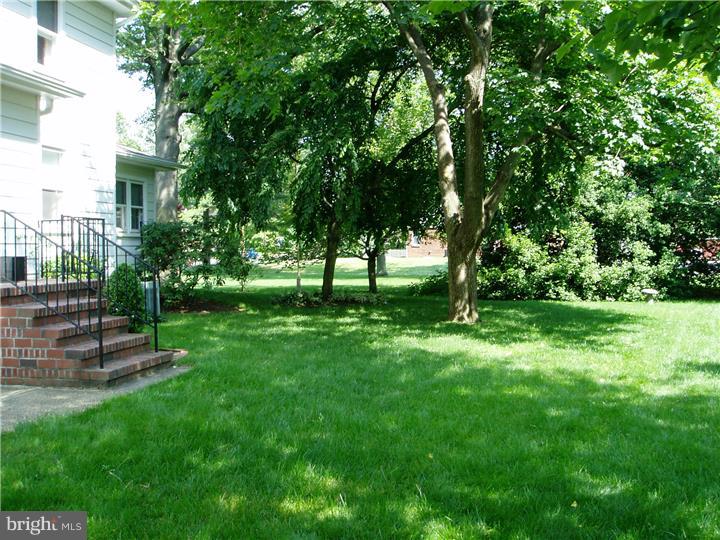 11 Democrat Road Mickleton, NJ 08056 - Photo 22 of 25 View