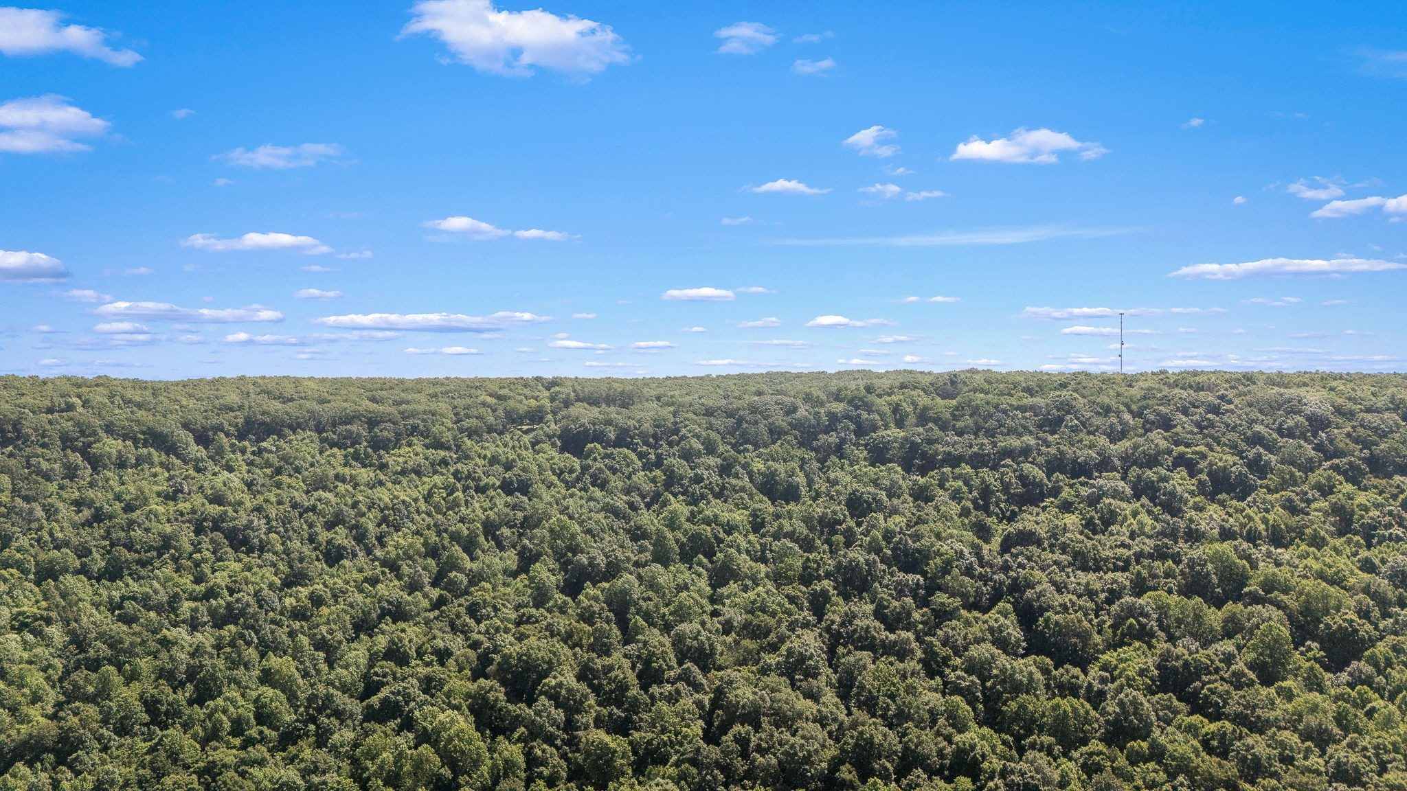 0 Claiborne View Road Sewanee, TN 37375 - Photo 13 of 23