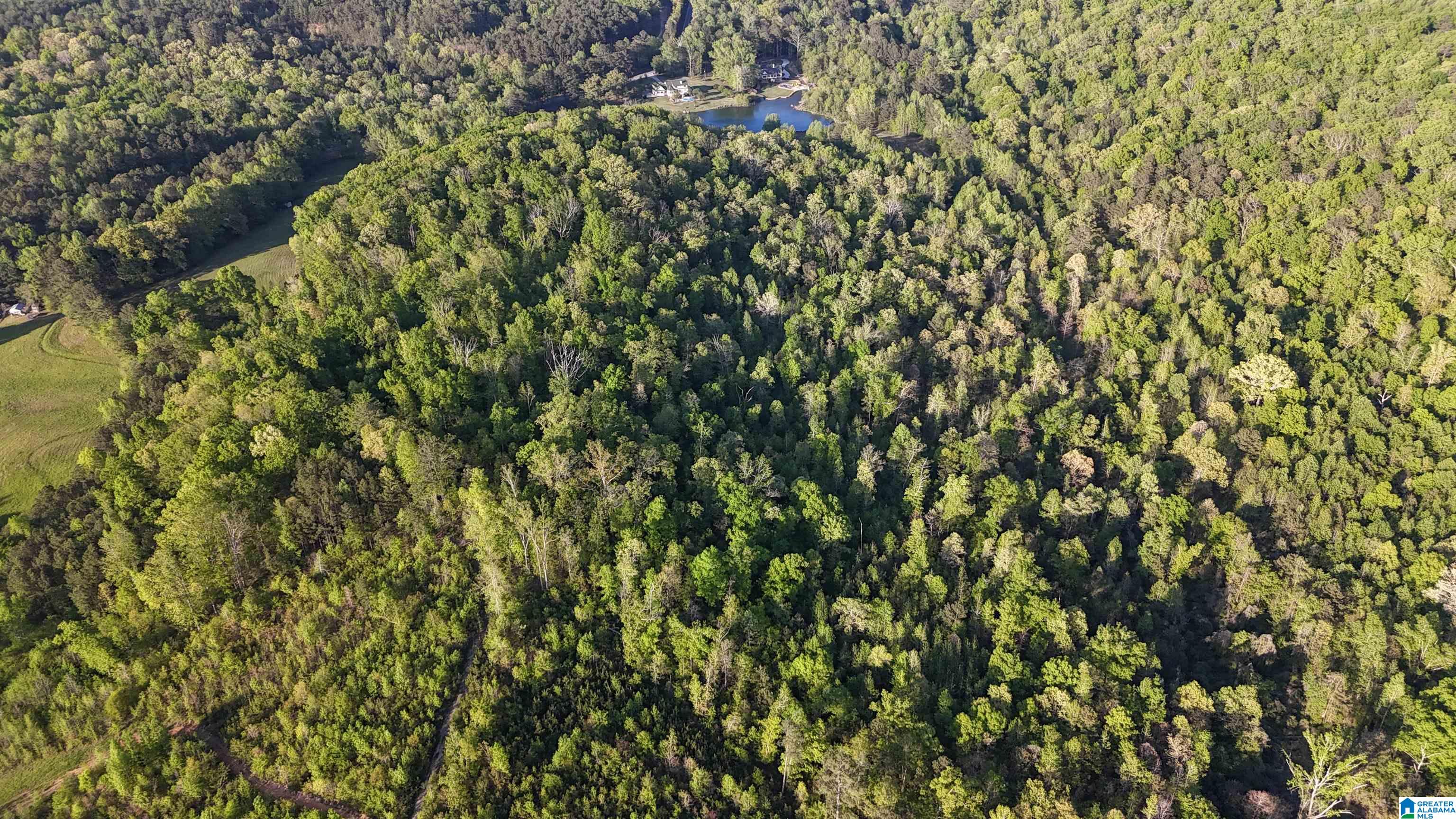 3410 Highway 132 Oneonta, AL 35121 - Photo 38 of 46