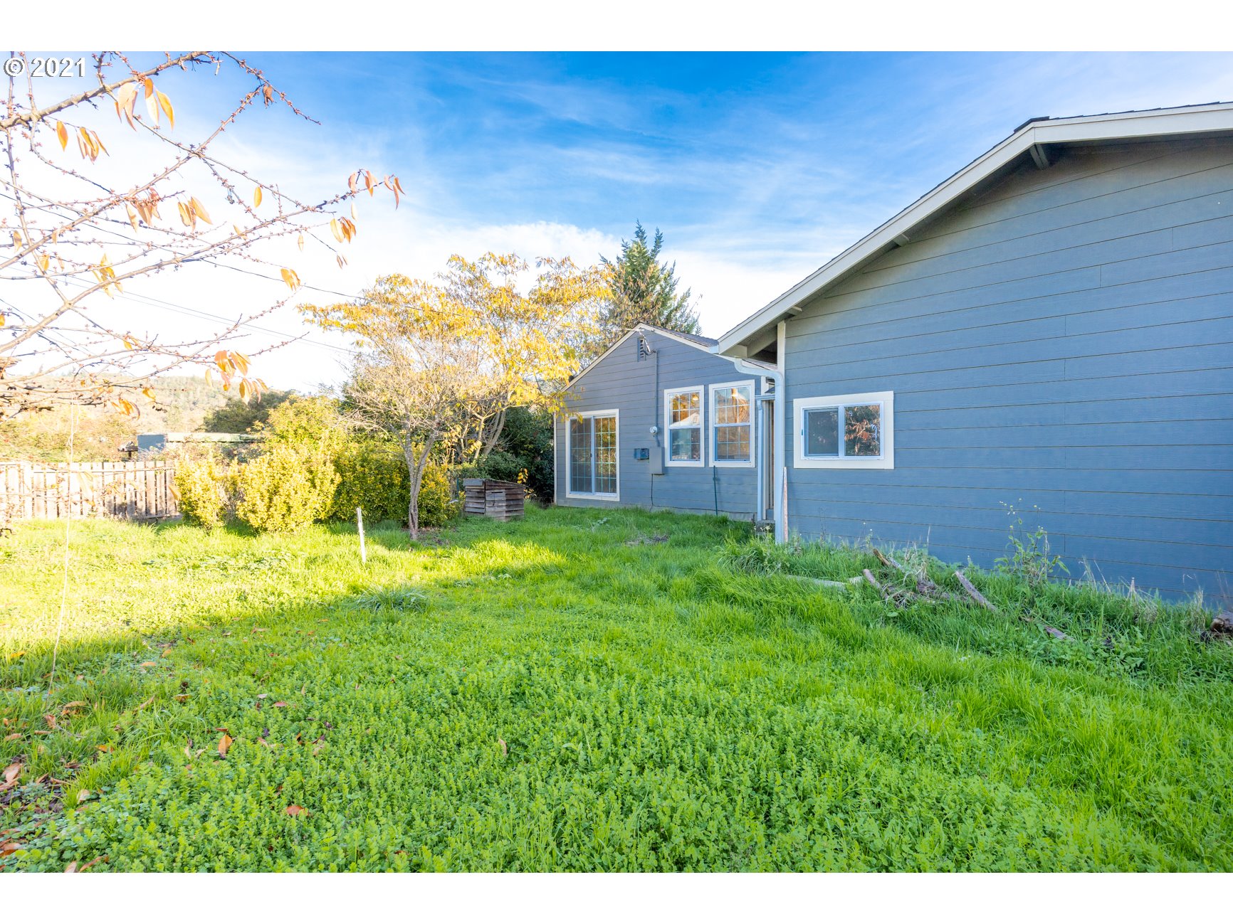 580 3rd Avenue Riddle, OR 97469 - Photo 22 of 30 a view of a backyard with plants and large trees