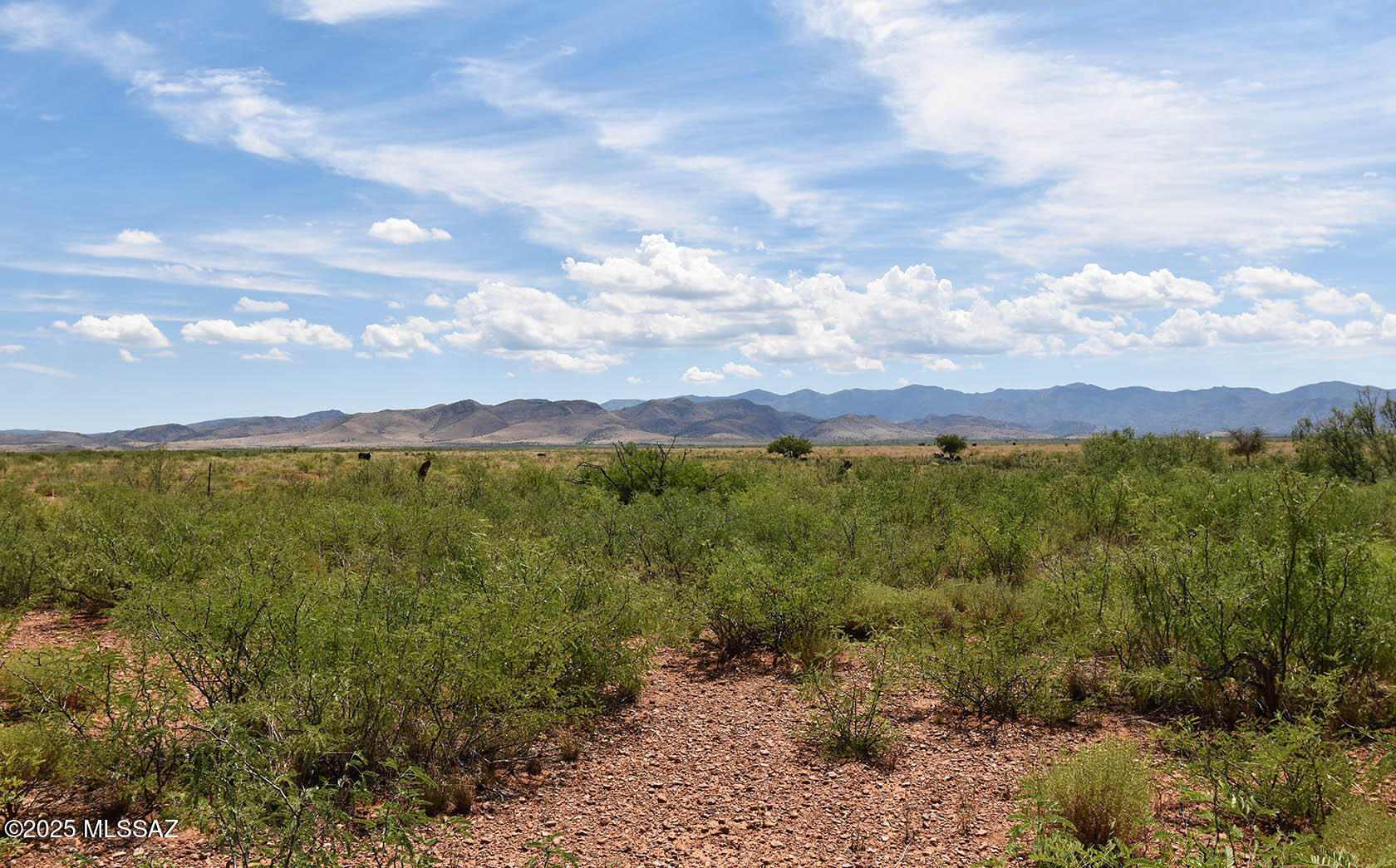 60-ac South Cross Creek Road, Unit 4 Pearce, AZ 85625 - Photo 37 of 39 Chiricahua views