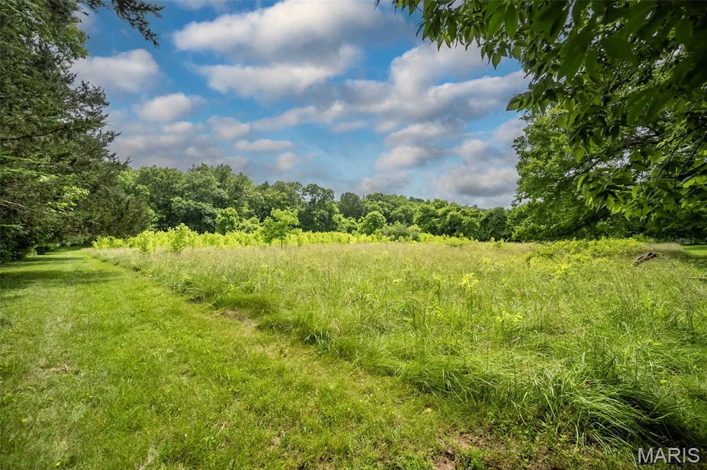 3037 Upper Moss Hollow Road Barnhart, MO 63012 - Photo 46 of 73