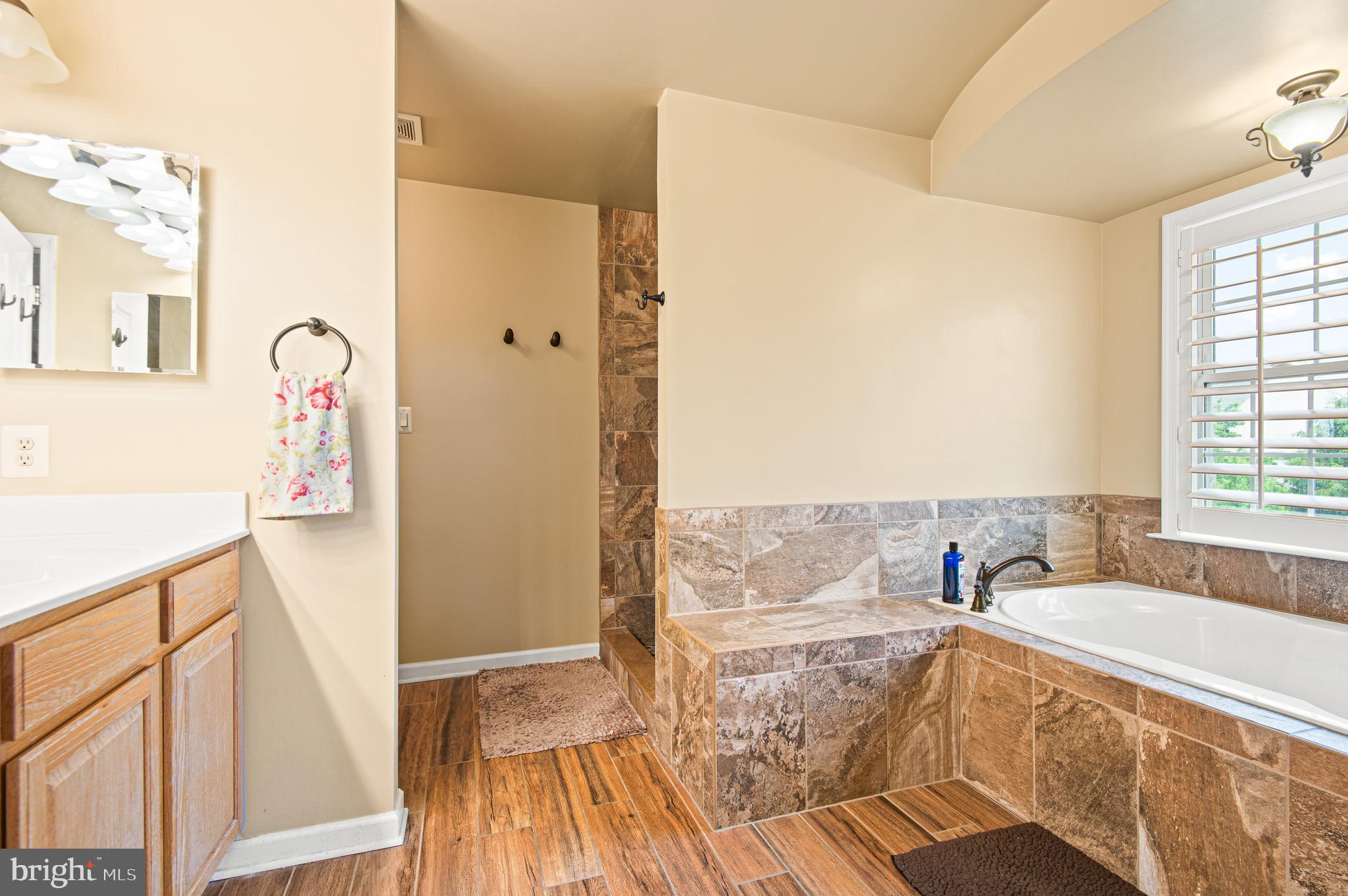 985 Silver Maple Circle Seven Valleys, PA 17360 - Photo 25 of 50 a spacious bathroom with a tub sink and mirror