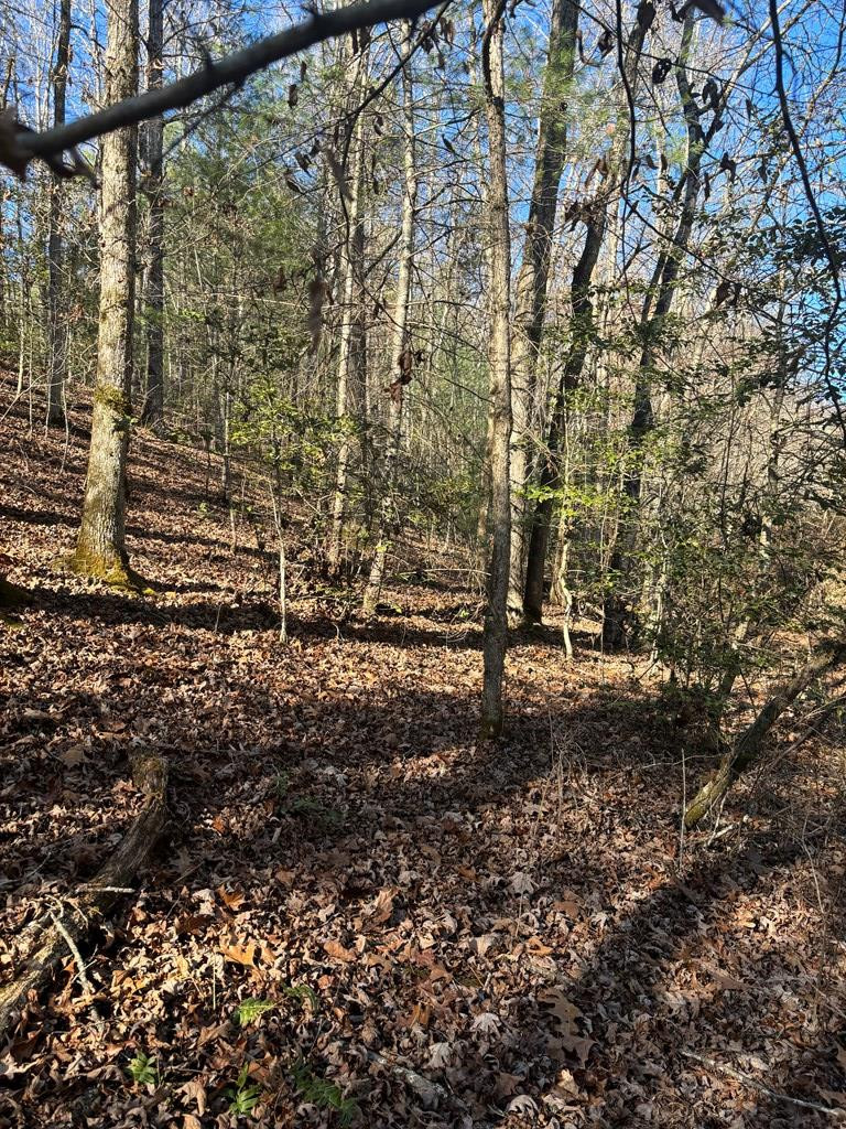 1.03 Deep Frst Road Murphy, NC 28906 - Photo 16 of 28